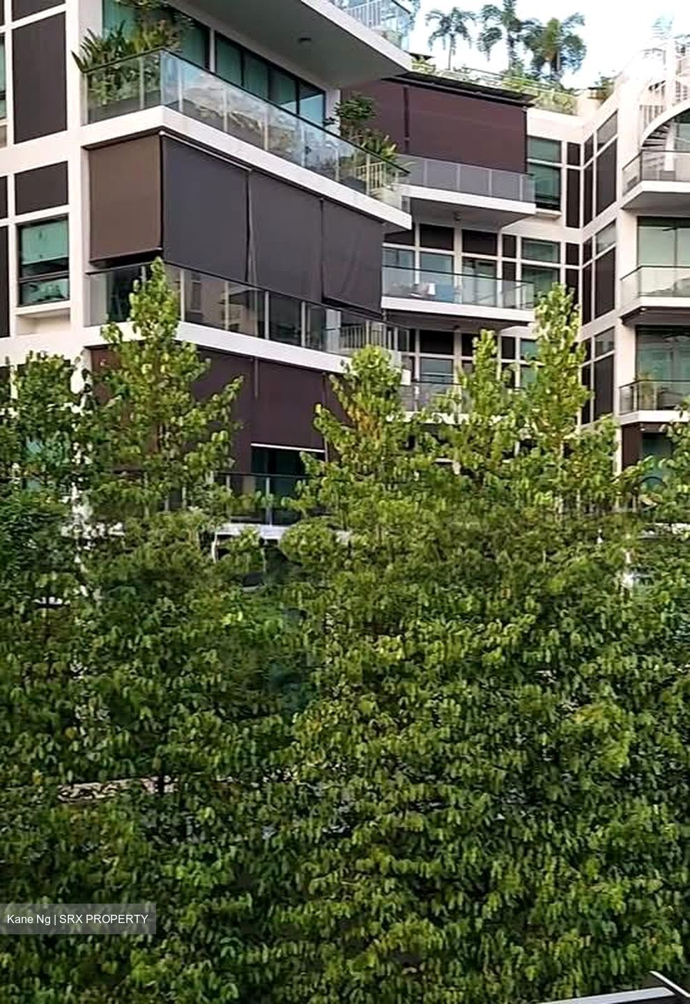 Oxley Edge (D9), Apartment #585091481